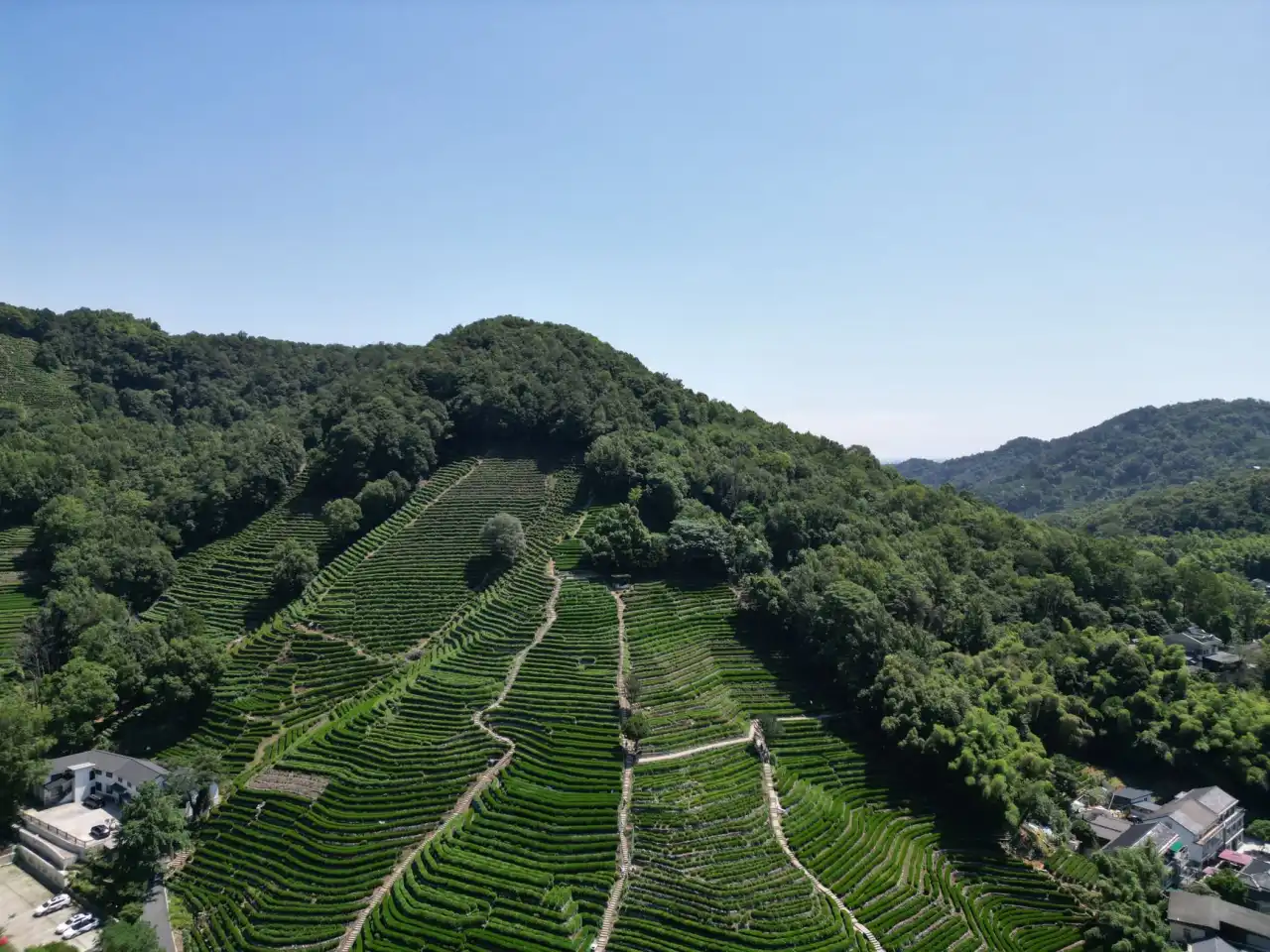 济南童康教育科技：特殊儿童康复训练与教育支持一体化服务解析