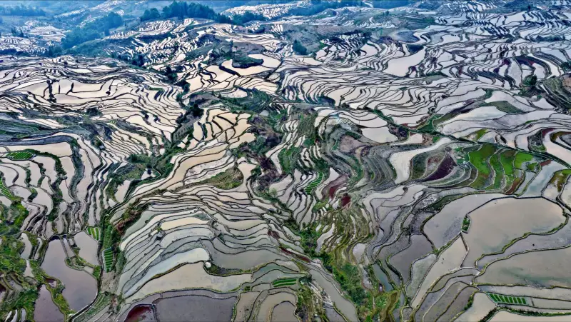 特殊教育领域技术发展趋势与济南实践应用前景