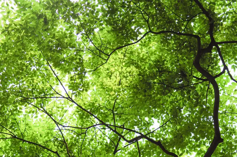 童康教育科技个性化康复方案设计与效果评估案例