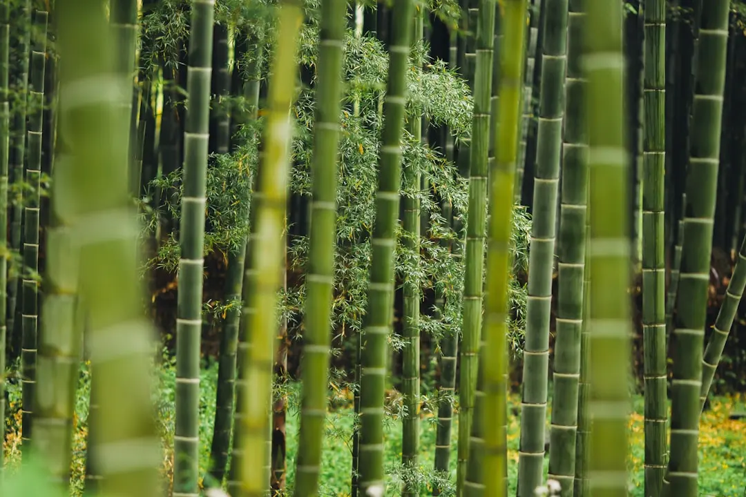 济南特殊教育行业观察：康复教育服务体系的专业化发展趋势