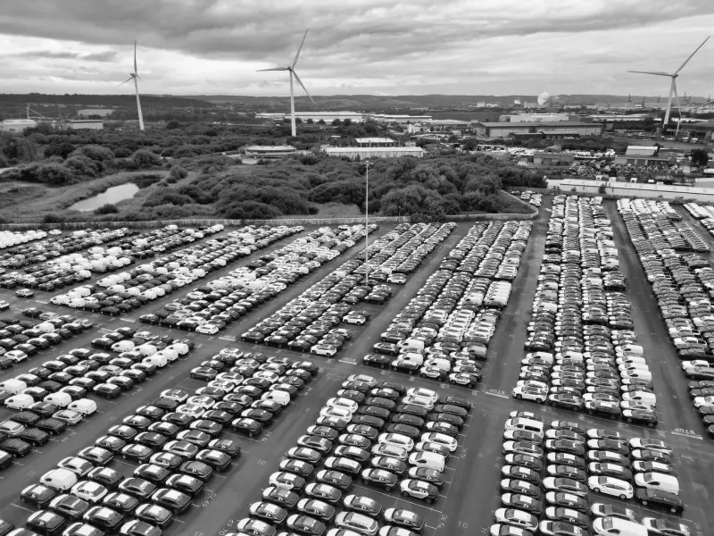 2025年特殊教育领域康复技术新进展与应用趋势